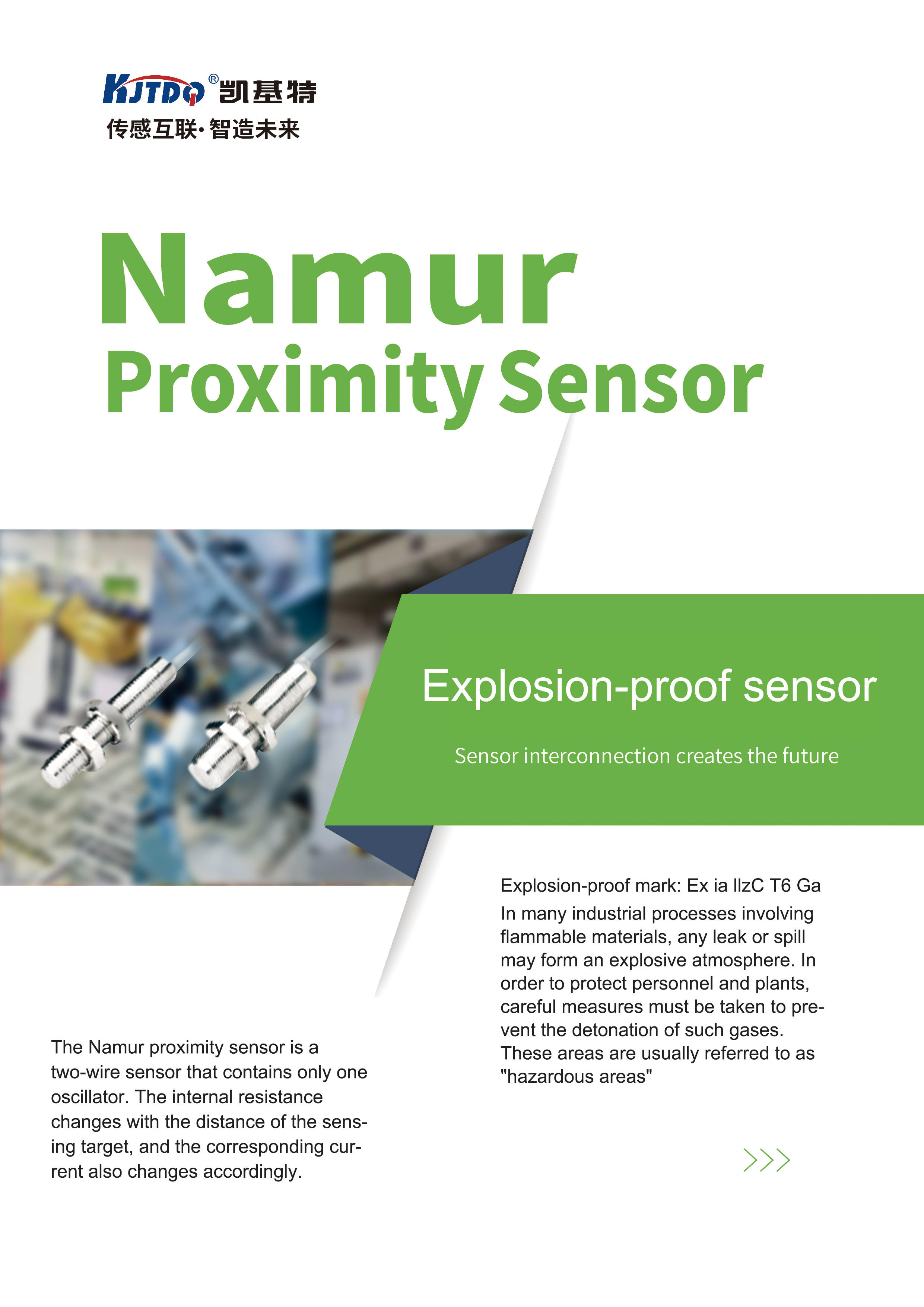 Explosion proof sensor